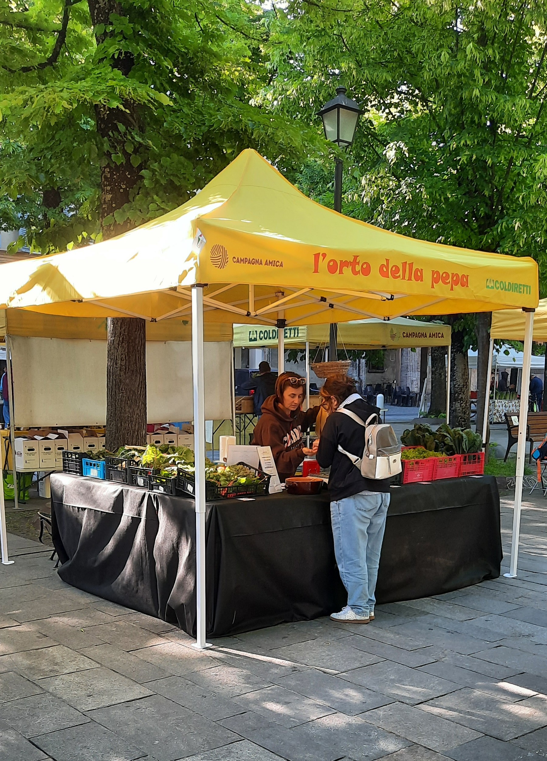 Mercato del Contadino - Piazza Fontanesi - Reggio Emilia