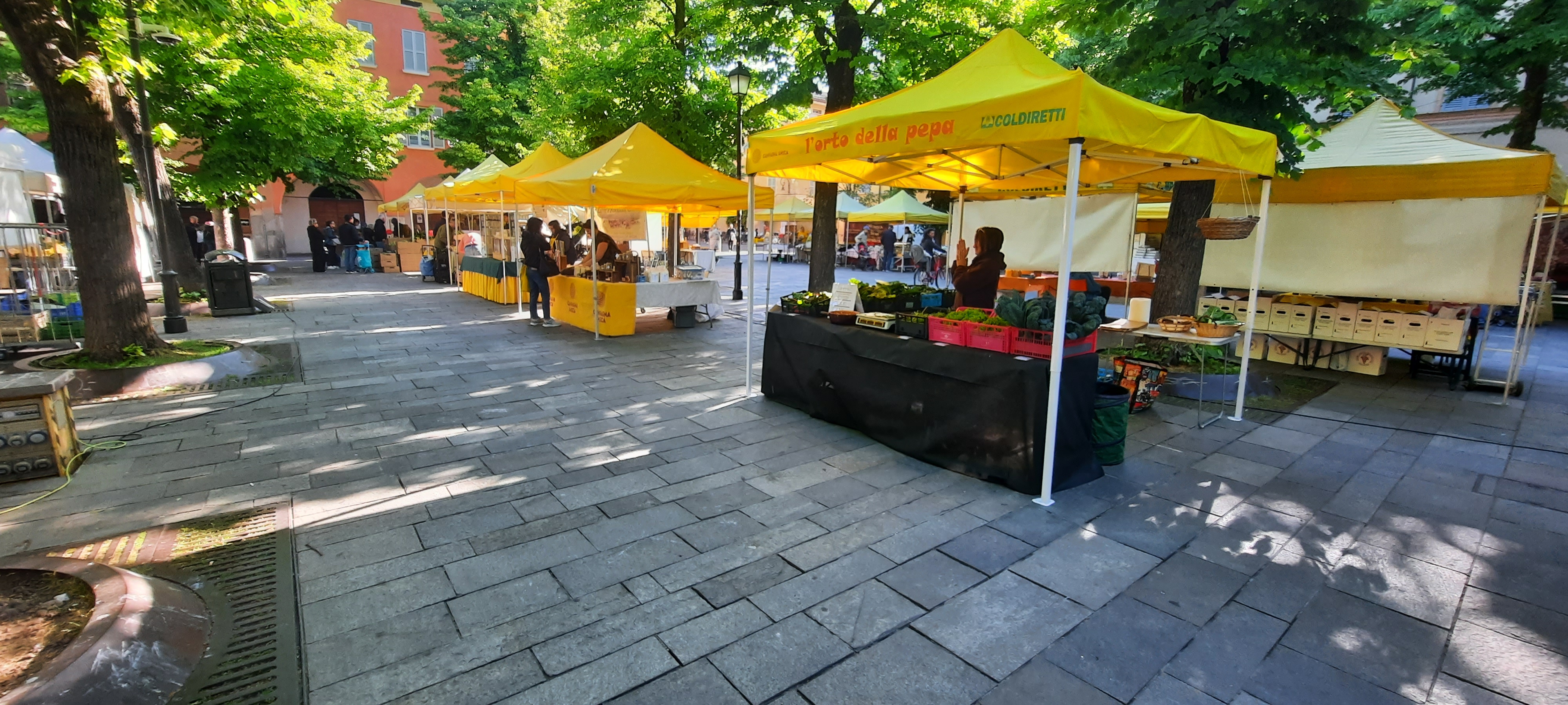 Mercato Contadino di Reggio Emilia Piazza Fontanesi