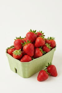 Fragole